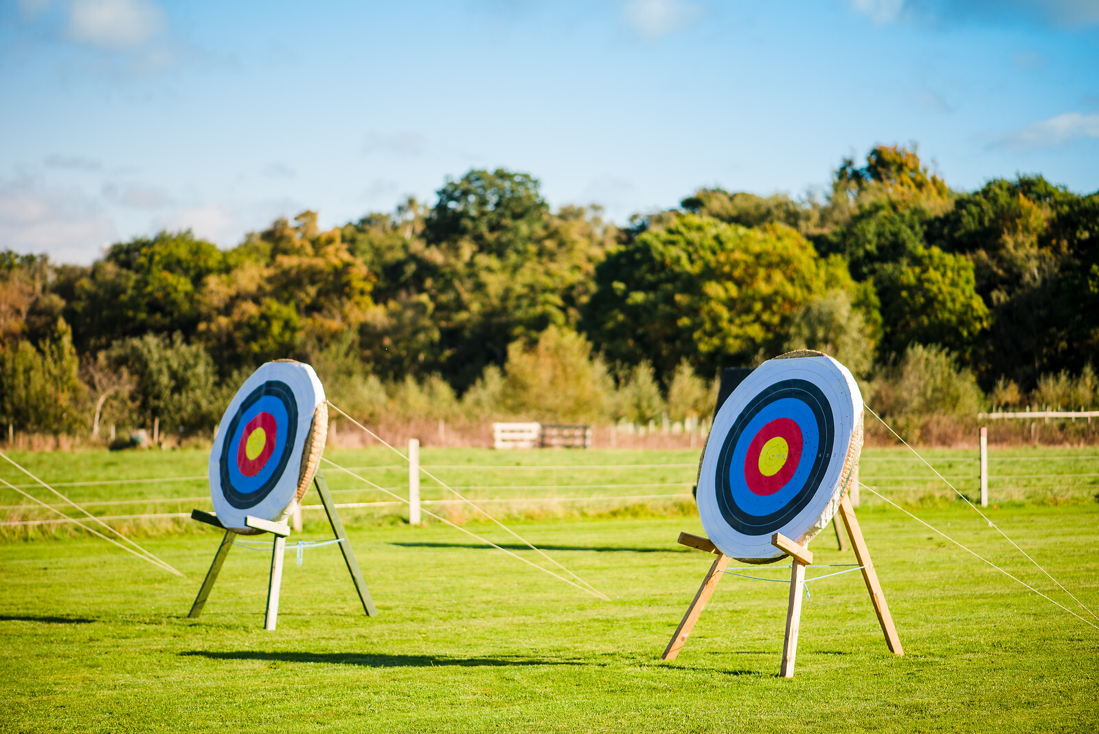 Archery range hot sale targets